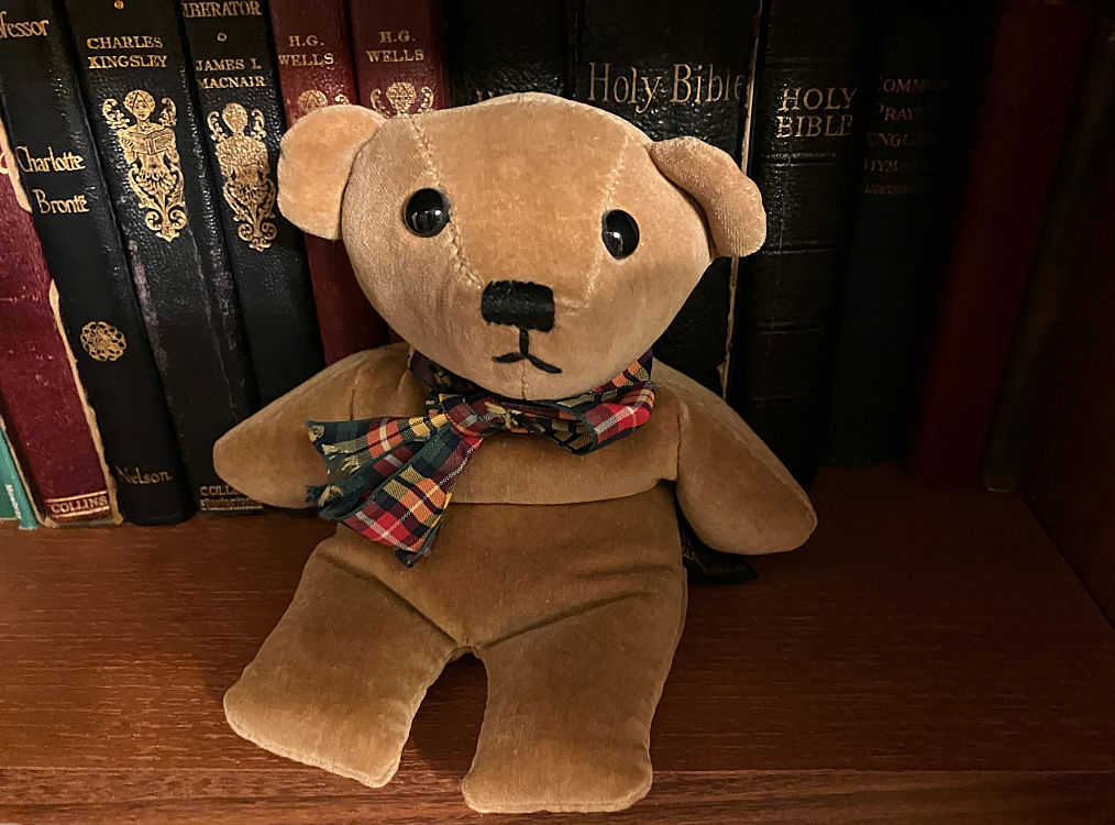 wistful bear